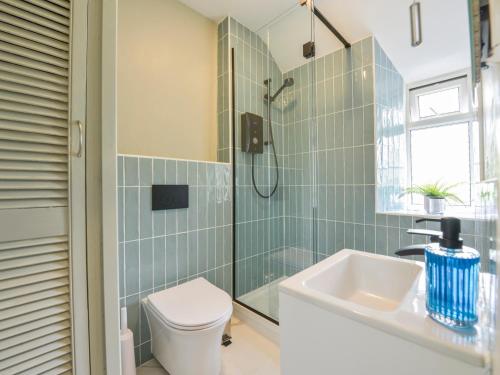 a bathroom with a shower and a toilet and a sink at Woodedge in Minehead