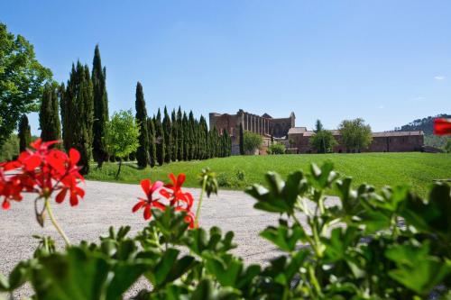 a park with red flowers and a building in the background at Agriturismo San Galgano in Chiusdino