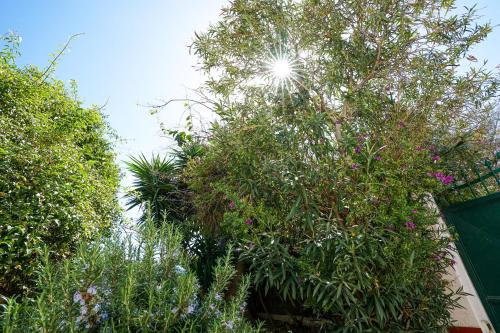 a group of trees with flowers and plants at Pulli's Home - Comfy&Cozy House in Selargius