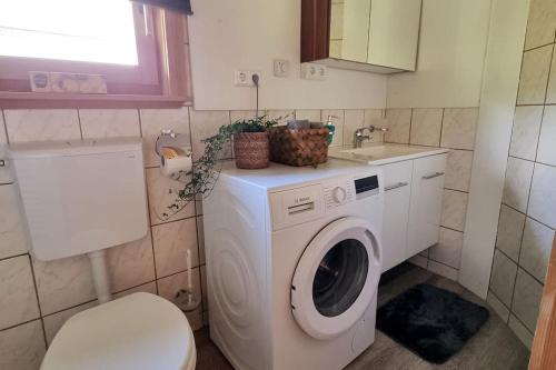 a washing machine in a bathroom with a toilet and a sink at Ferienhäuschen in Mariahof in Mariahof