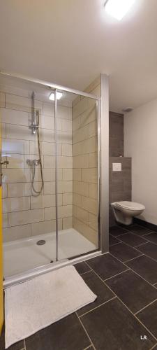 uma casa de banho com um chuveiro e um WC. em Gîte - LE RAZAL em Vallon-Pont-dʼArc