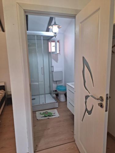 コスティネシュティにあるVila Pestisorul Costinestiのバスルーム(シャワー、トイレ付)、ドアが備わります。
