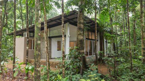 Palmstone Retreat – Photos 4
