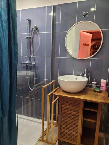 uma casa de banho com um lavatório, um espelho e um chuveiro em Le toit du monde em Ceyreste