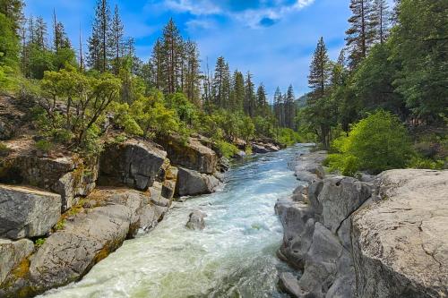 a river with rocks and trees on the side at Peaceful Pine Getaway in Dorrington