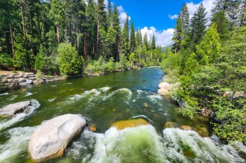 a river in the middle of a forest at Peaceful Pine Getaway in Dorrington