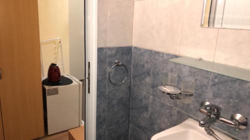 a bathroom with a shower with a sink and a toilet at Петкови Лозенец in Lozenets