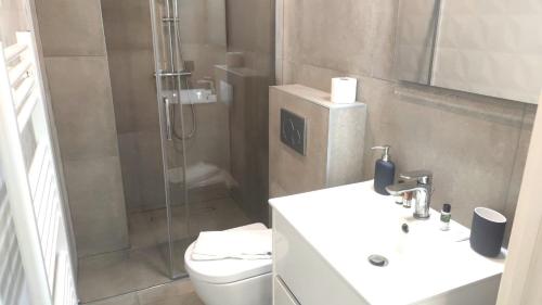 une salle de bain avec une douche, des toilettes et un lavabo dans l'établissement Baie des anges proche mer 102, à Nice