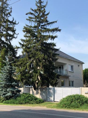 Fotografie z fotogalerie ubytování Villa Karabelli v destinaci Búč