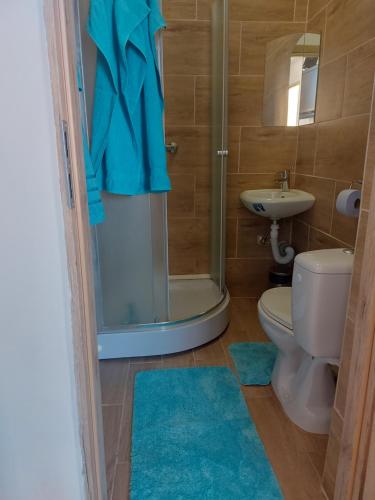 a bathroom with a shower and a toilet and a sink at Casa Del Hodos in Budapest