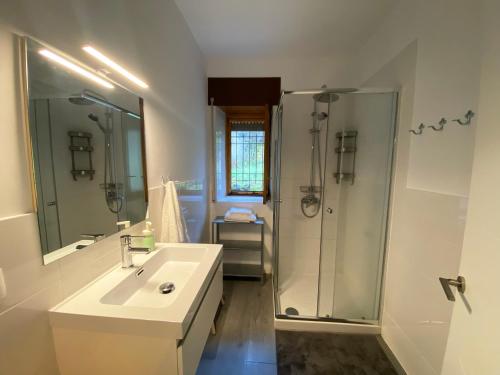 a bathroom with a sink and a shower at Casa Prada en Sanabria in Puebla de Sanabria