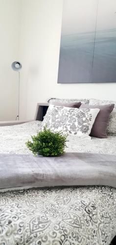 a bedroom with a bed with a plant on it at Apartamento Plaza Calzada 3 in Sanlúcar de Barrameda