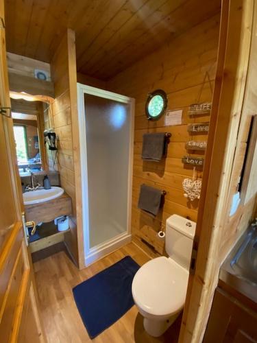 La salle de bains est pourvue de toilettes, d'un lavabo et d'une horloge. dans l'établissement le domaine des drôles de dames, à Buding