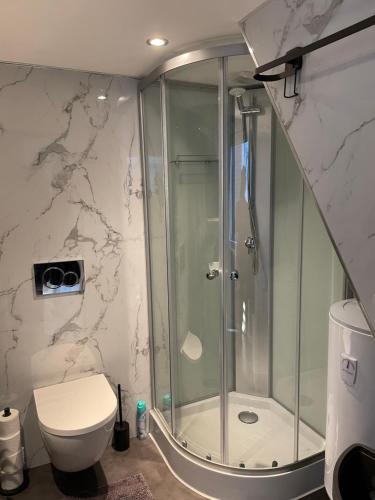阿姆斯特丹的住宿－Casa di maksch de miniatura，带淋浴和卫生间的浴室