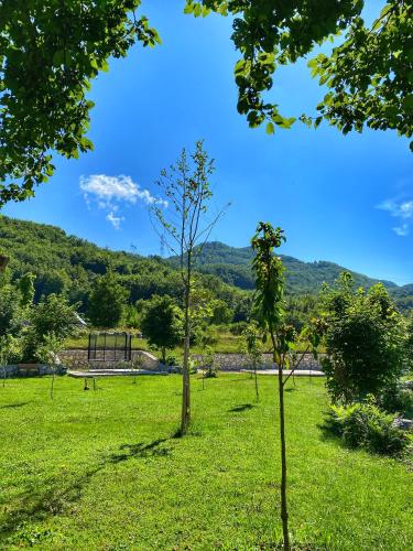 Fotografie z fotogalerie ubytování Albero Casa v destinaci Cetinje