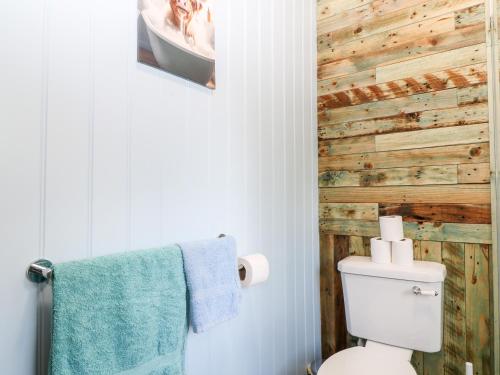 a bathroom with a toilet and a wooden wall at The Great Escape in Beaworthy