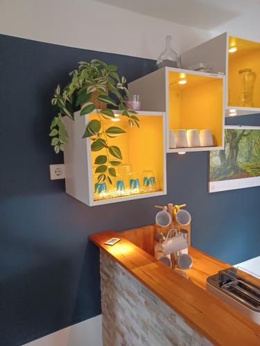 a kitchen with a counter with a potted plant at Ferienwohnung am Sendberg in Frielendorf