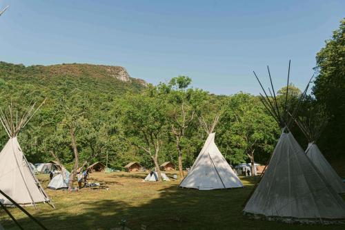 a group of tents in a field with trees at Ca Stella Camping del Monte San Giorgio in Meride
