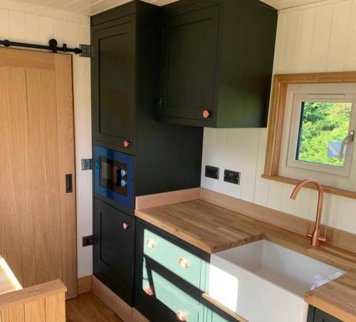 a kitchen with green cabinets and a sink at Cwtch Cader Shepherds Hut in Llanelltyd