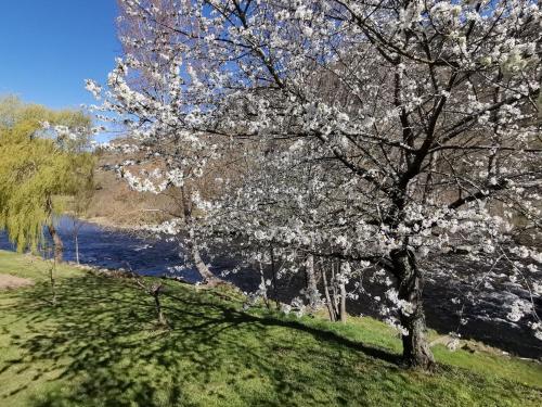 Saint-Julien-des-ChazesにあるGîte chaleureux 6 pers avec cour privée en bord de rivière près de Langeac - FR-1-582-11のギャラリーの写真