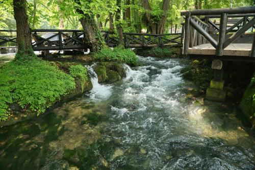 Φωτογραφία από το άλμπουμ του Garni Hotel Vila Drina σε Perucac