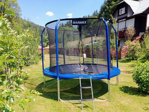 a trampoline in the grass in a yard at Apartmány Petronela in Makov