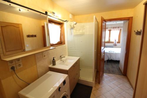 y baño con lavabo, espejo y ducha. en Le Chalet du Cerf, en Gerbépal