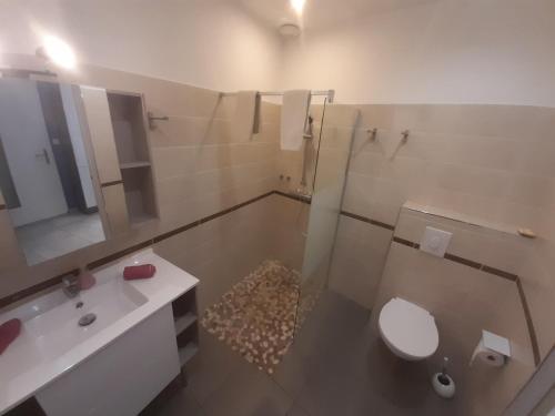 ein Badezimmer mit einem WC, einem Waschbecken und einem Spiegel in der Unterkunft Au 70 in Millau