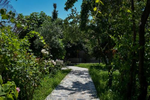 a path through a garden with trees and flowers at Nicolaus Hidden Gem Villa in Shkodër