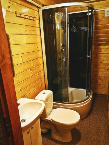 a bathroom with a toilet and a shower and a sink at DOLINA NAD MOŁSTOWĄ in Starnin
