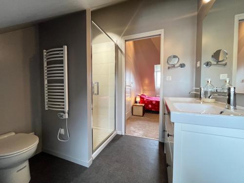 uma casa de banho com um chuveiro, um WC e um lavatório. em Le Roadtrip- Maison - Jardin - Tramway - 8p em Le Mans