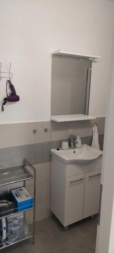 a bathroom with a white sink and a mirror at Studio Apartman Tariba in Rab