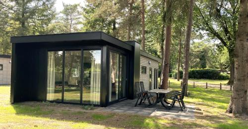 a black shed with a picnic table in the grass at Vakantiepark Hertenhorst in Beekbergen