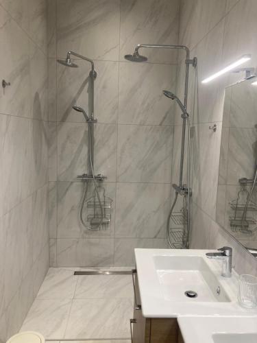 une salle de bain avec douche et lavabo dans l'établissement Appartement Villiers, à Paris