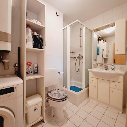 a white bathroom with a shower and a toilet at Blaško apartment in Izola