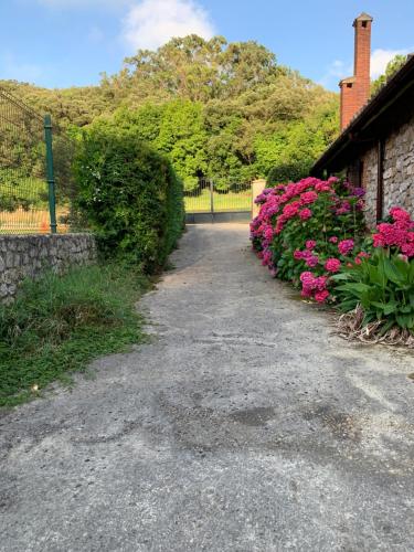 a driveway with pink flowers next to a house at Casa Rural Erre Q Erre in Oreña