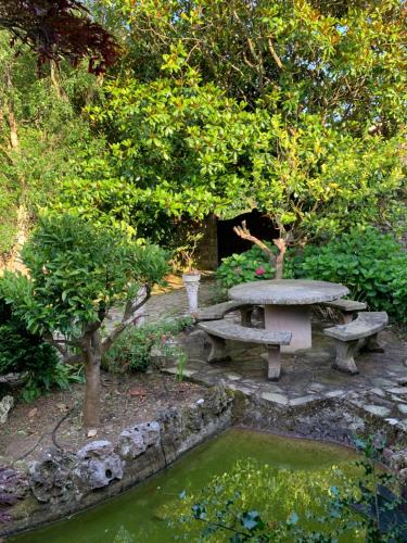 a picnic table and a pond in a garden at Casa Rural Erre Q Erre in Oreña