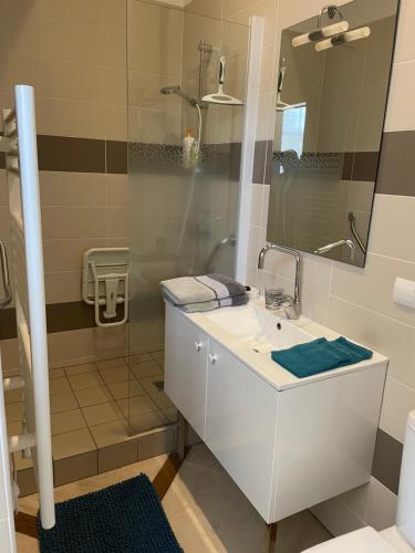 a bathroom with a sink and a shower at Domaine de Croix en Sologne in Neuvy-sur-Barangeon