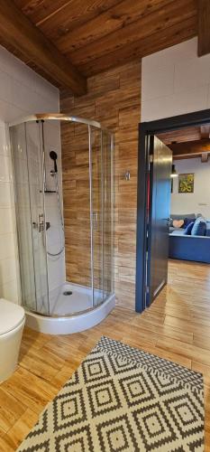 a bathroom with a shower with a toilet and a rug at Domek Przy Rzece in Kazimierz Dolny