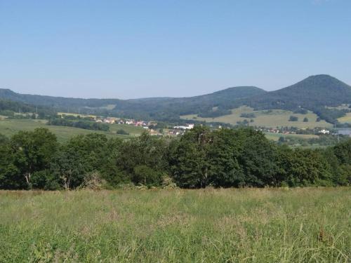 a field of grass with trees and mountains in the background at apartman.lara in Děčín