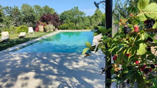 a swimming pool with a view of a yard at El huerto de la Reina in Becerril de la Sierra