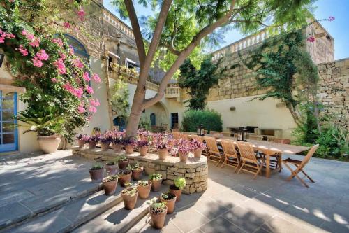 a patio with a table and a bunch of potted plants at Casa Mezzodì' - Luxurious 18th C. Farmhouse with Gardens & Pool in Kerċem