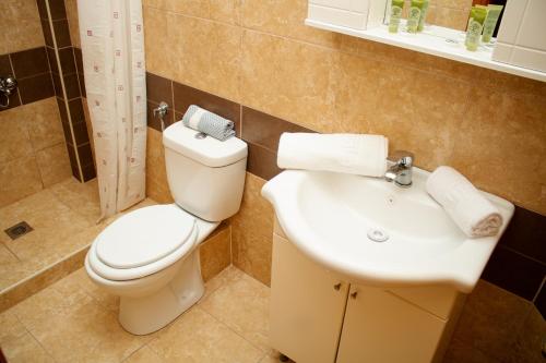 a bathroom with a toilet and a sink at Vicky in Hanioti