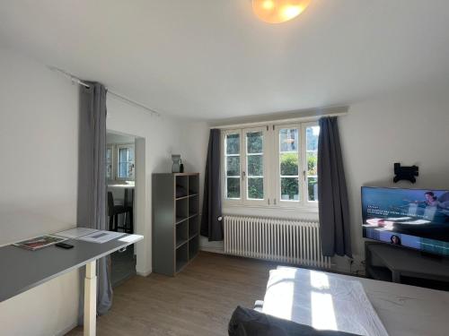 a living room with a flat screen tv and a desk at House on historic city wall - Freihofapartments in Brugg