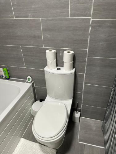 a bathroom with a toilet with rolls of toilet paper on it at Stunning private room 2 in Bedford