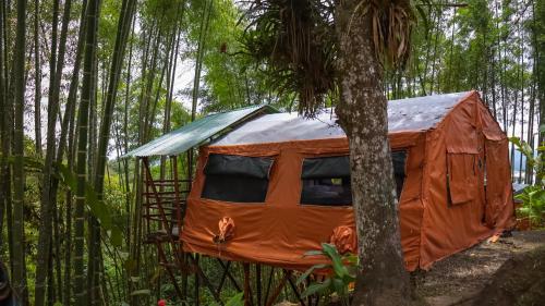 an orange tent in the woods with a tree at Essence Arenal Spa & Yoga in El Castillo de La Fortuna