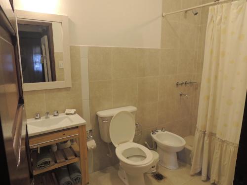 a bathroom with a toilet and a sink and a shower at La casita de Cerrillos in Salta