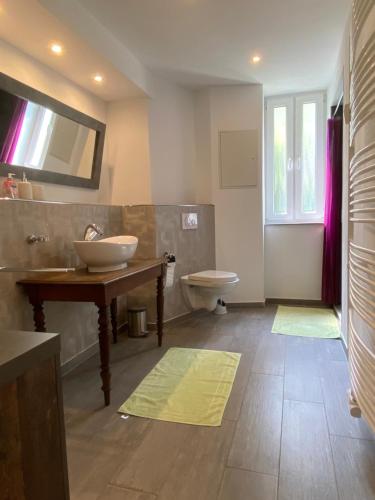 uma casa de banho com um lavatório e um WC em Fischbach Apartment em Saarbrücken