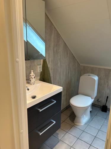 a bathroom with a toilet and a sink at Fjord apartment 