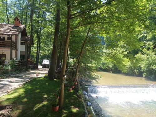 a house with trees next to a river at Vila KTM Lisine in Despotovac